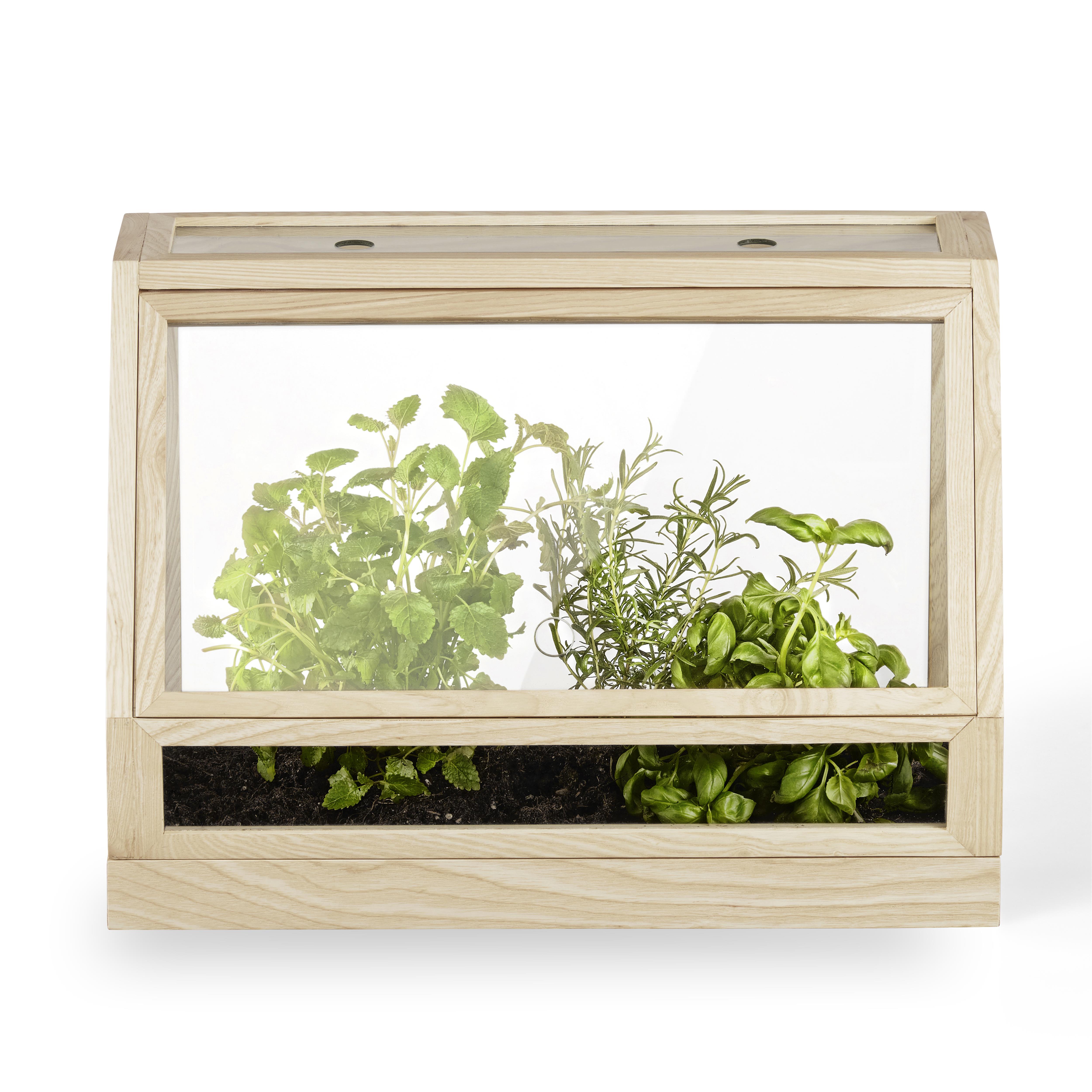 Mini invernadero – Newen Botanicum
