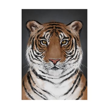 Póster Tiger - 30x40 cm - Kunskapstavlan®