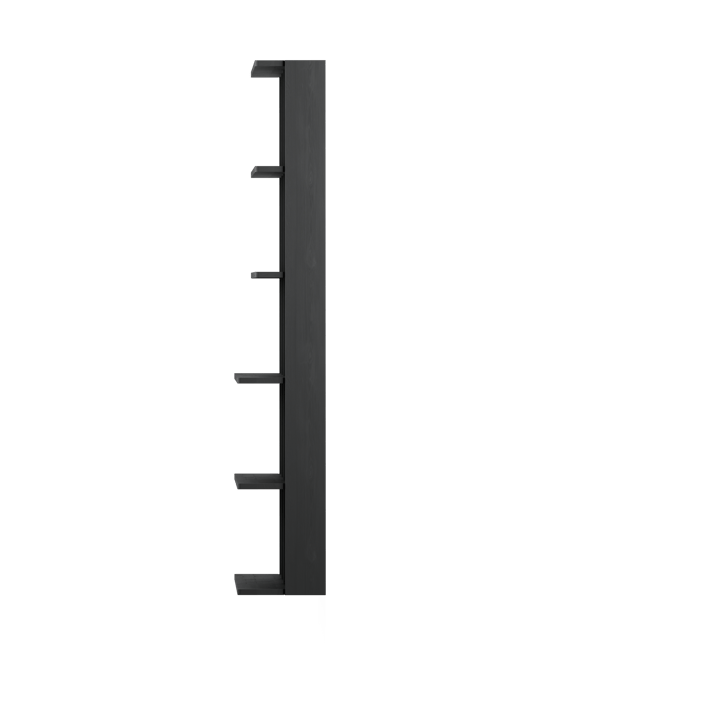 Estantería de pared Gridlock - T3-A9-9, Black stained Ash Massproductions