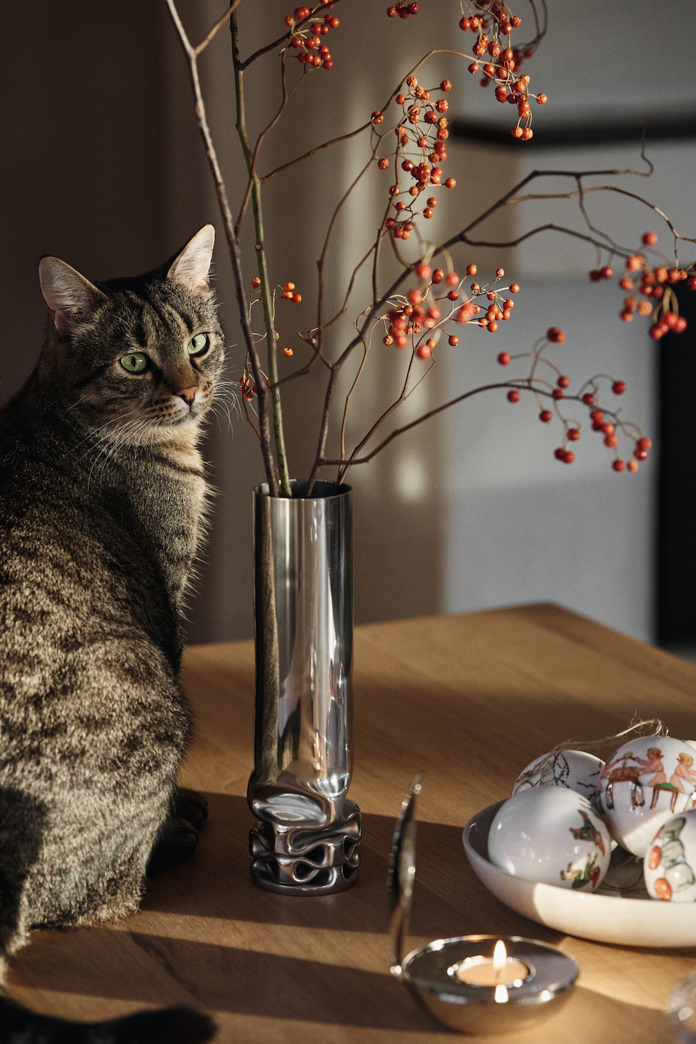 Aquí puedes ver un gato sentado en una mesa de centro, a su lado el jarrón Hydraulic, el portavelas Shell y un cuenco con las chucherías Elsa Beskow para el árbol de Navidad, todo de Design House Stockholm.