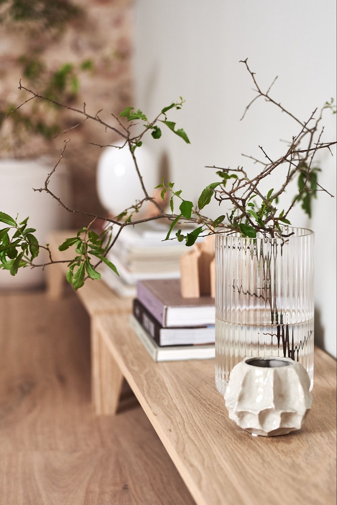 Detalles interiores en el estilo Japandi con un jarrón de vidrio y una rama verde sencilla.