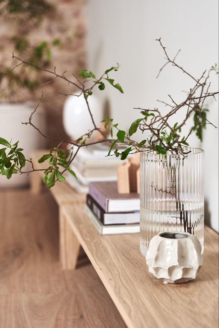 Detalles interiores en el estilo Japandi con un jarrón de vidrio y una rama verde sencilla.