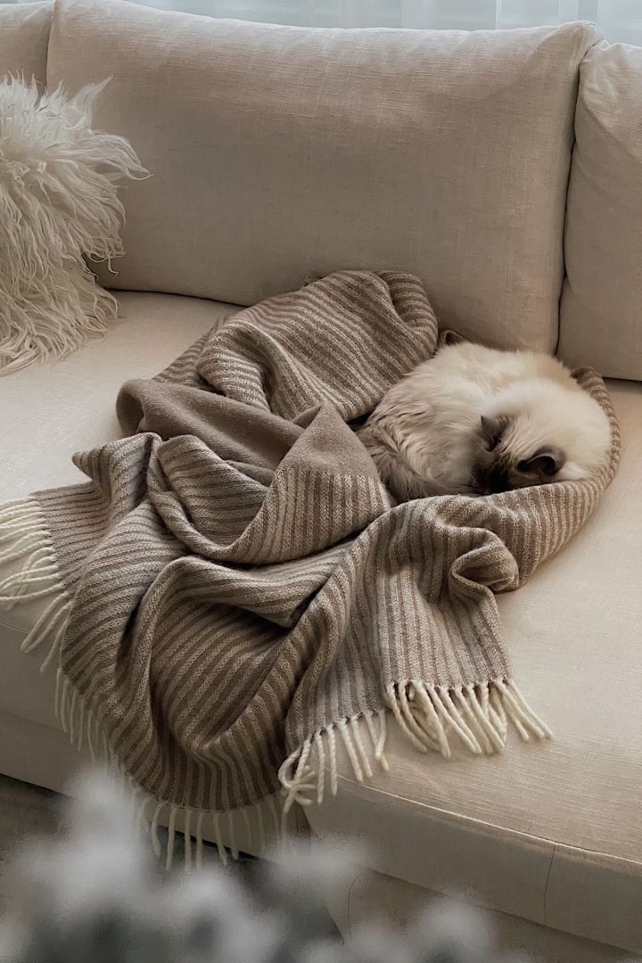 Crea un acogedor salón hygge para disfrute de todos, incluido el gato de la familia, que duerme sobre la manta de lana NJRD Stripes en color beige. 