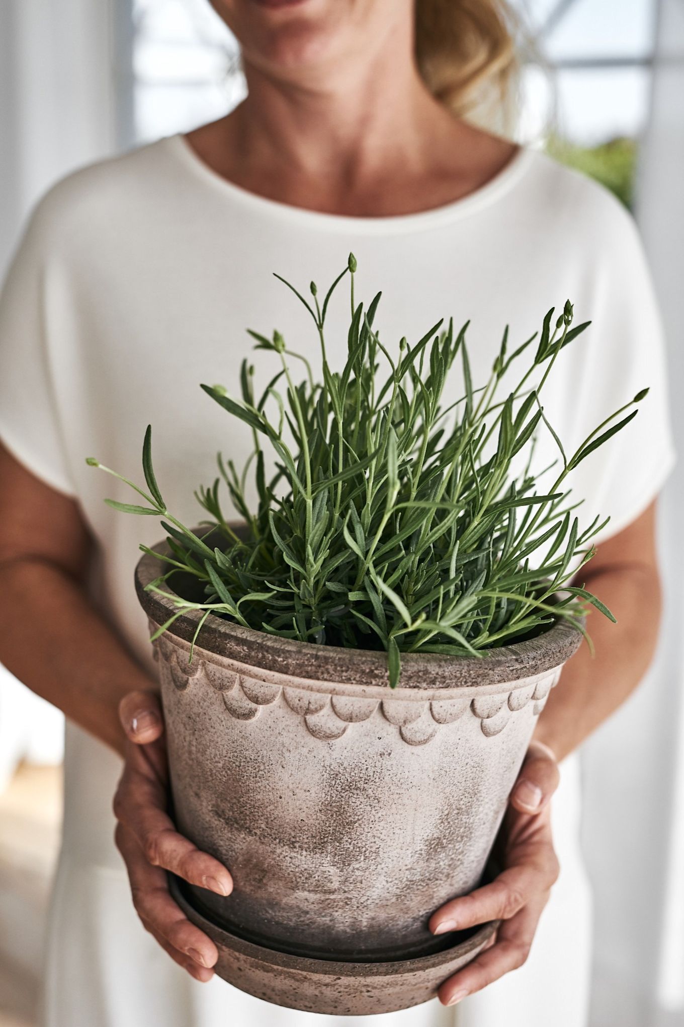 Macetas para exteriores: aquí puedes ver la maceta Copenhague de Bergs Potter plantada con lavanda.