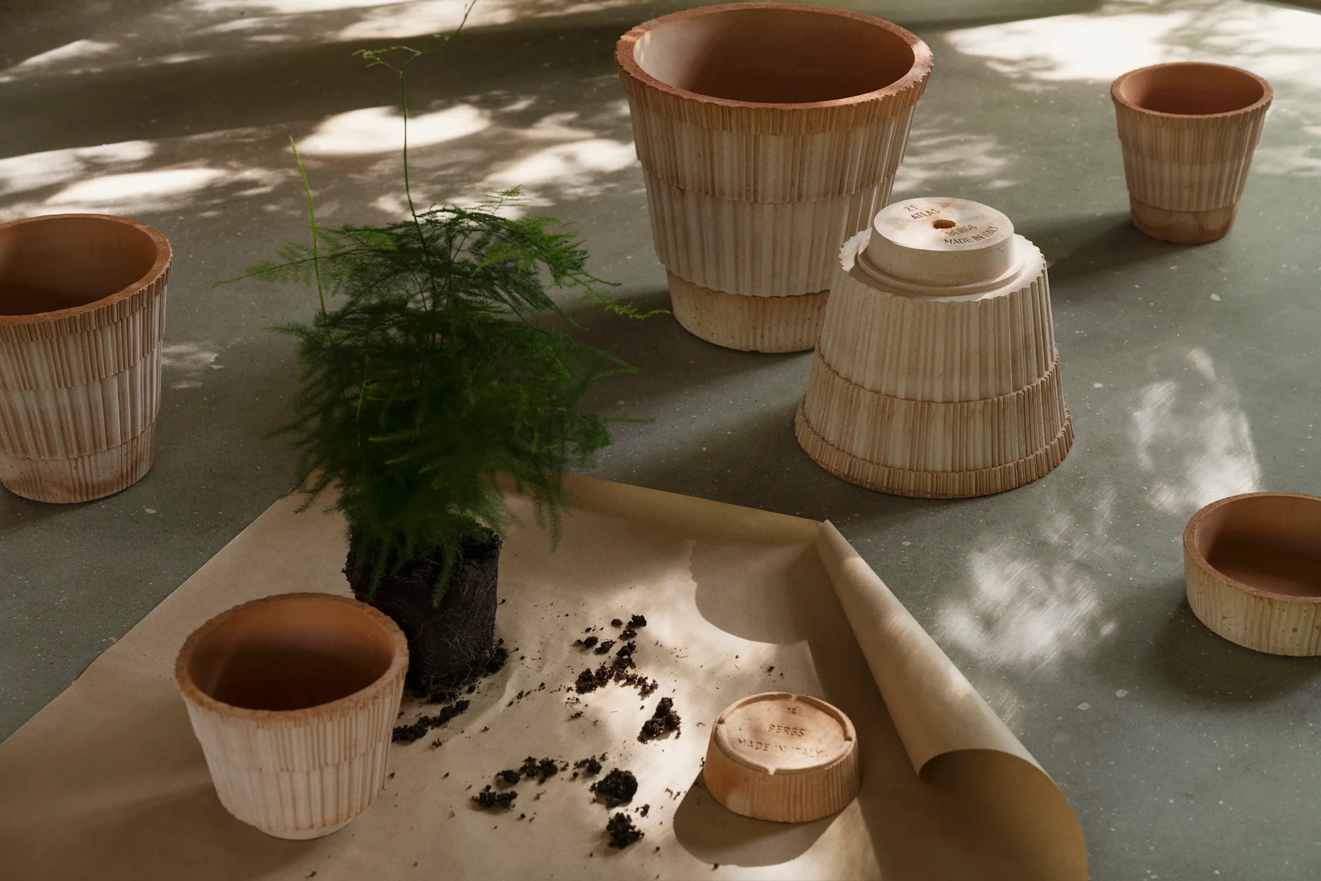 Planta siendo trasplantada con varias macetas y platillos de terracota acanalados sobre papel marrón.