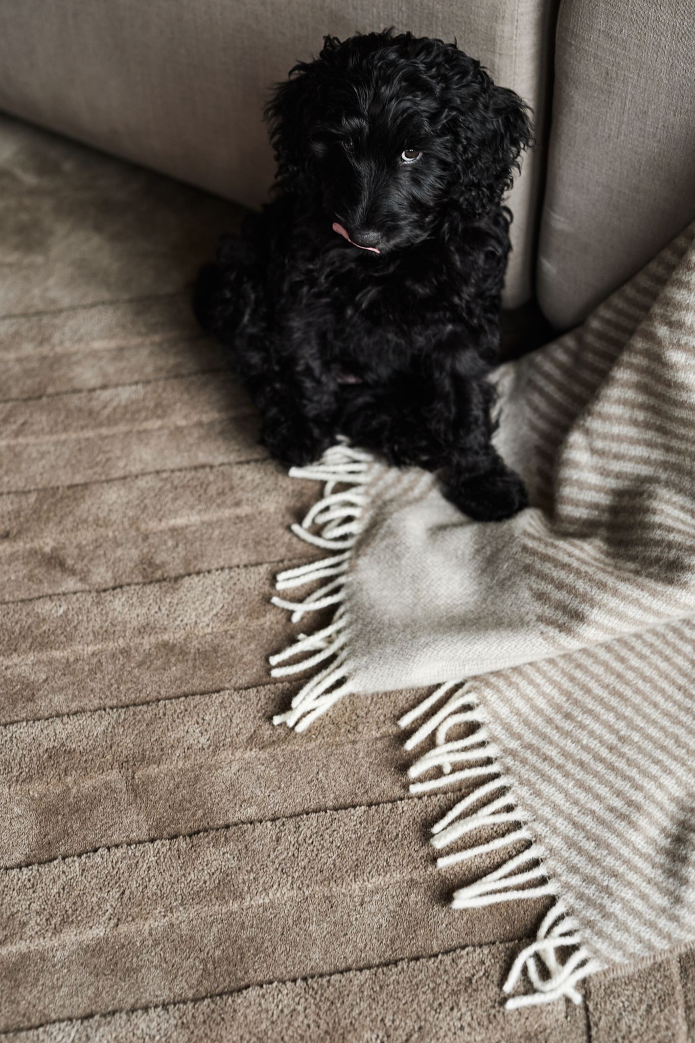 Crea un acogedor salón hygge con una alfombra de pelo grueso como ésta de NJRD, para que disfrute toda la familia. 