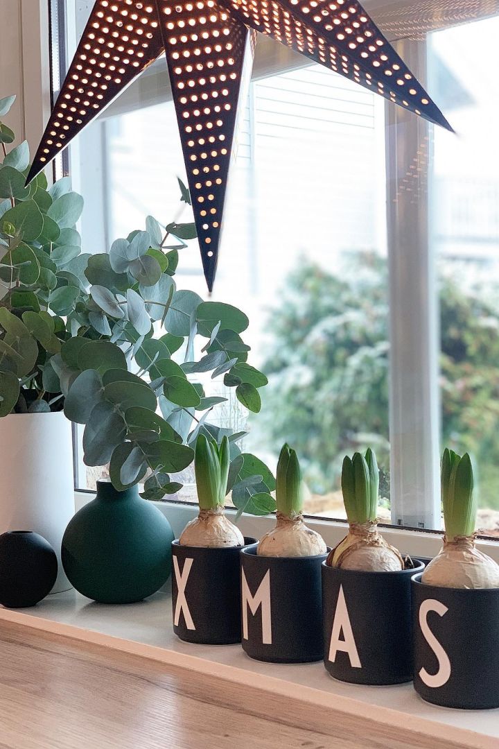 En Suecia es típico decorar con jacintos en Navidad. Colócalos plantados en las tazas de letras de Design Letters, como @sol_hellinga, donde las tazas hacen XMAS.