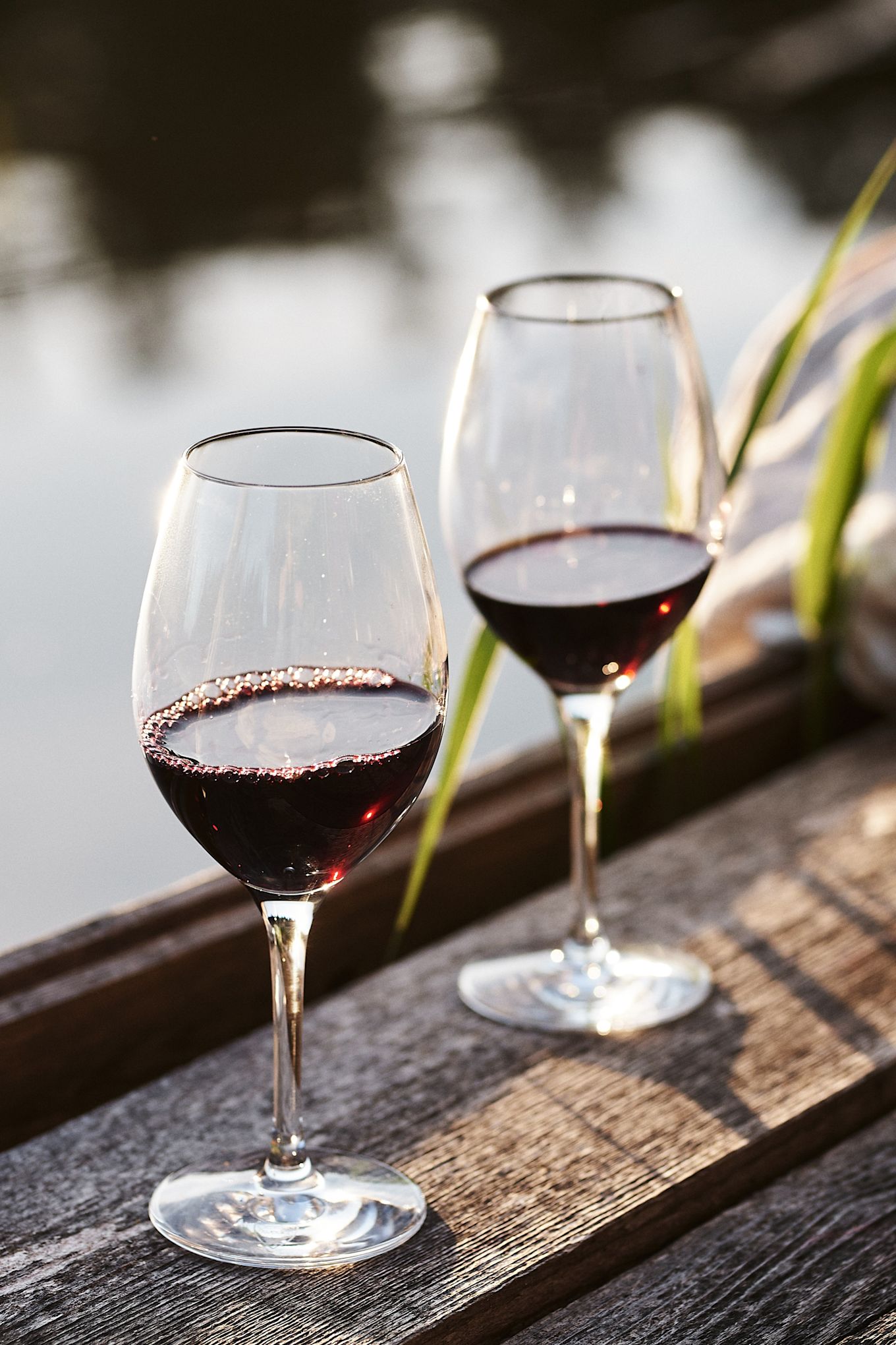 Cómo elegir la copa de vino adecuada: aquí puedes ver las copas Karlevi de Scandi living con vino tinto. De pie en una terraza. 