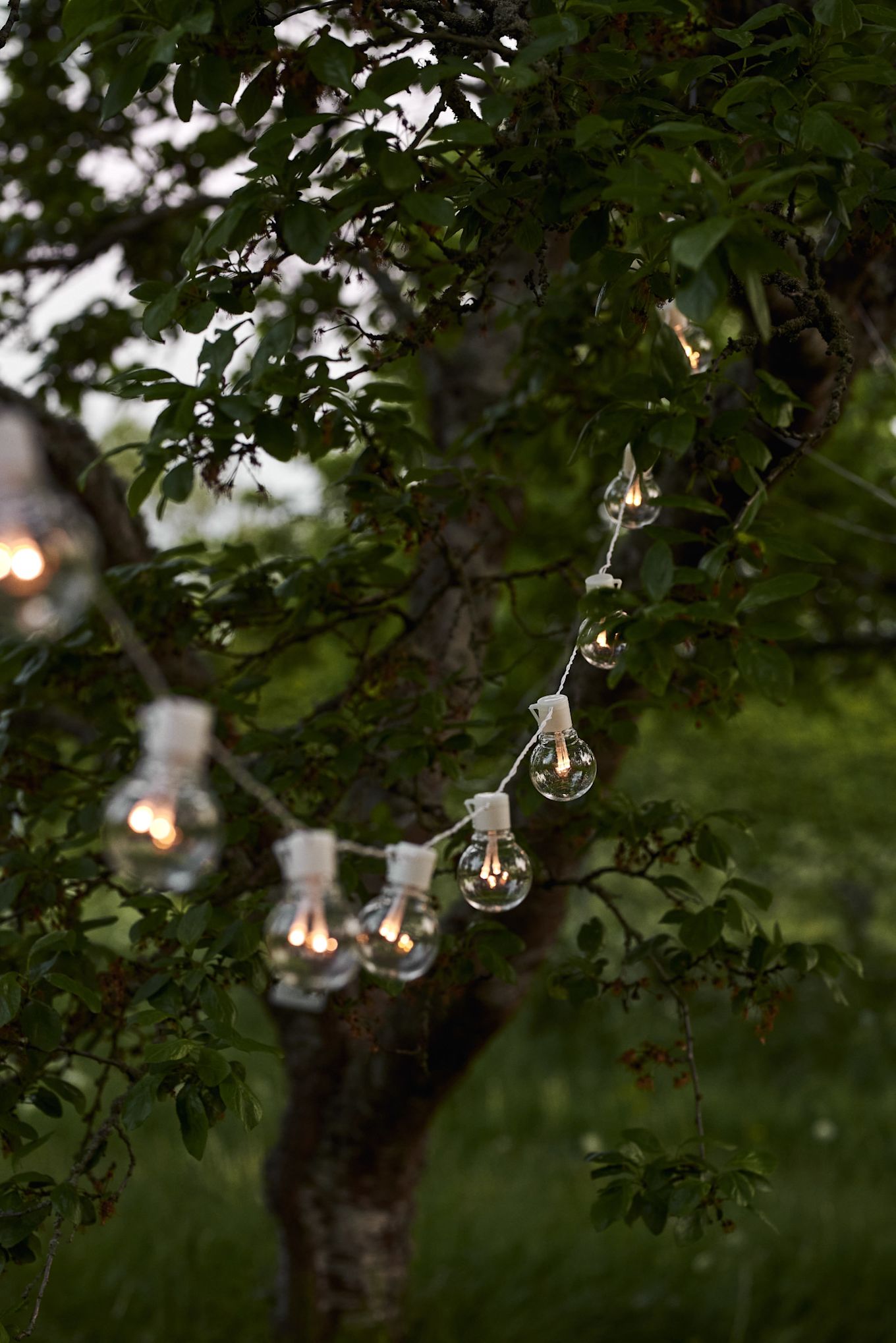 Las guirnaldas de luces blancas Partaj de Star Trading colgadas entre los árboles crean una luz acogedora